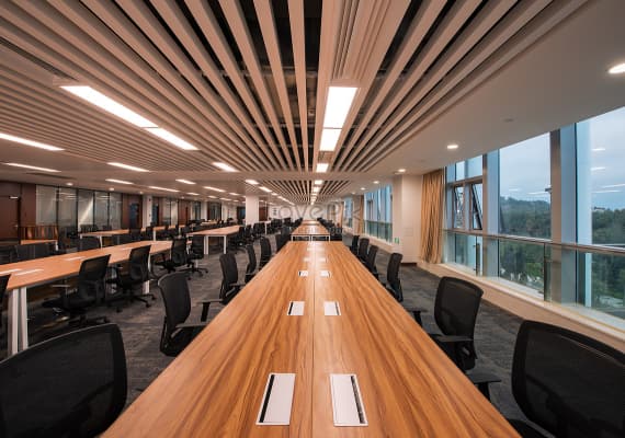 北京冬林科技有限公司